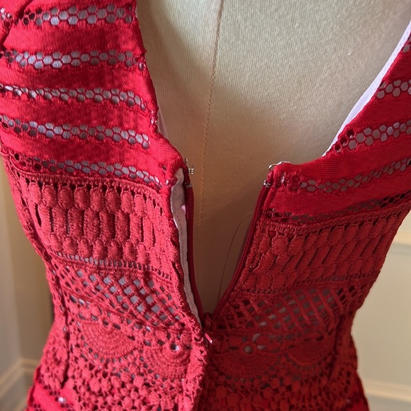 MODCLOTH Lace Fit & Flare Dress - Picture 10 of 14